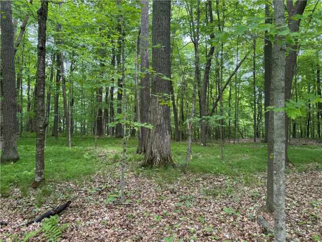 Birchwood Residential Real Estate