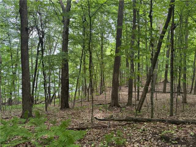 Birchwood Residential Real Estate