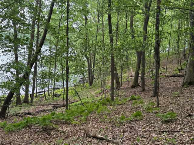 Birchwood Residential Real Estate