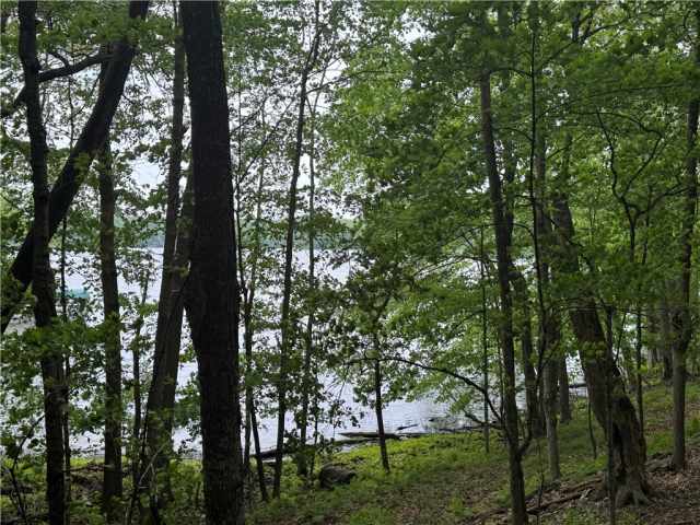 Birchwood Residential Real Estate