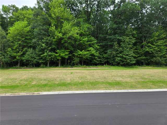 Boyceville Land Real Estate