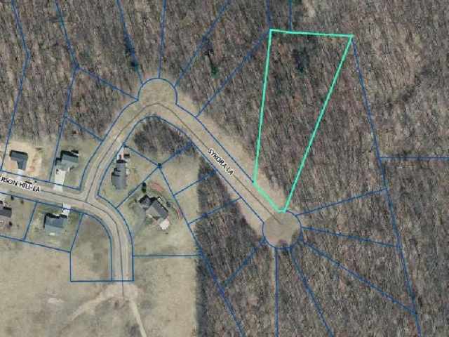 Boyceville Land Real Estate