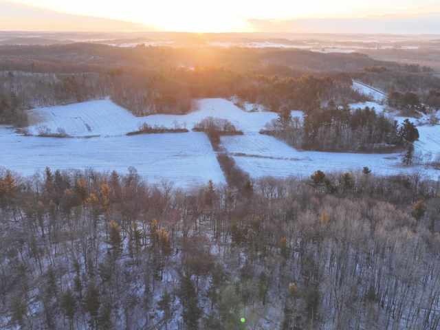 Boyceville Land Real Estate