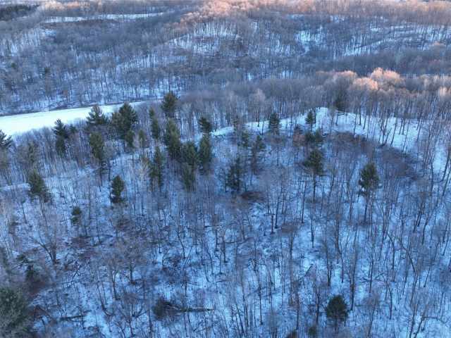 Boyceville Land Real Estate