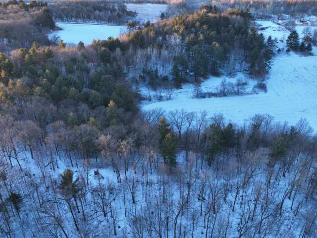 Boyceville Land Real Estate