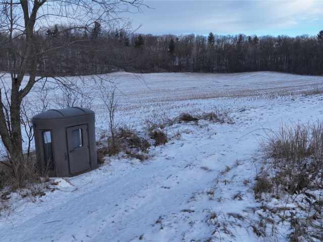 Boyceville Land Real Estate