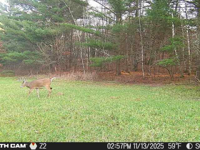 Boyceville Land Real Estate