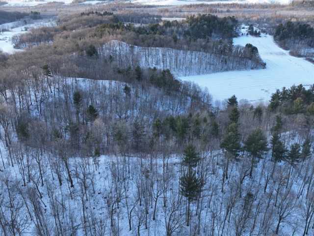 Boyceville Land Real Estate