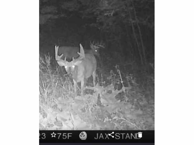 Boyceville Land Real Estate