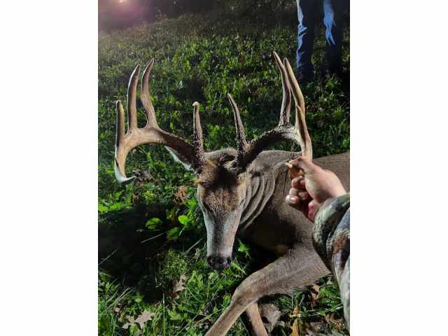 Boyceville Land Real Estate