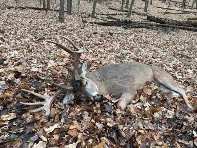 Boyceville Land Real Estate