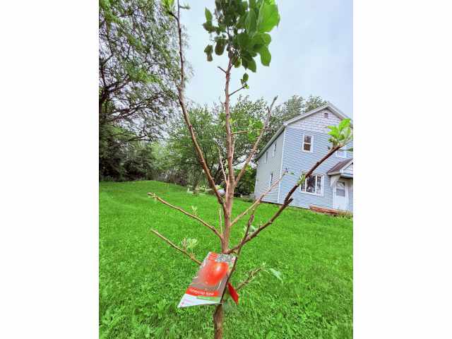 Menomonie Residential Real Estate