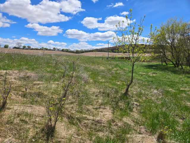 Menomonie Land Real Estate