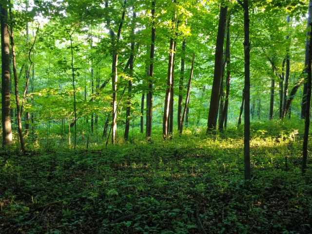 Menomonie Land Real Estate