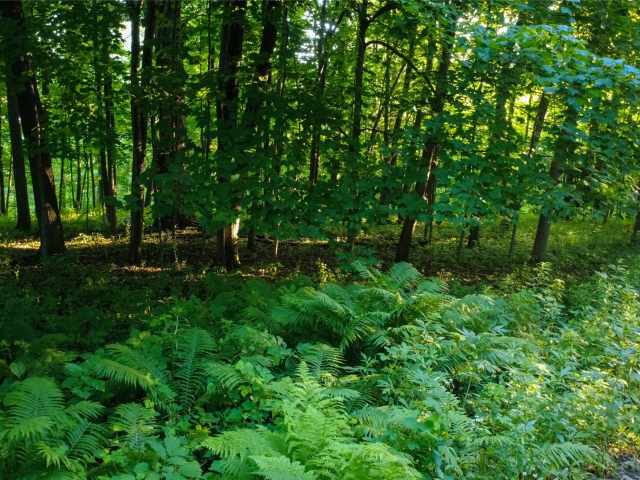 Menomonie Land Real Estate
