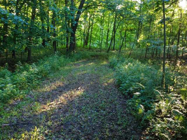 Menomonie Land Real Estate