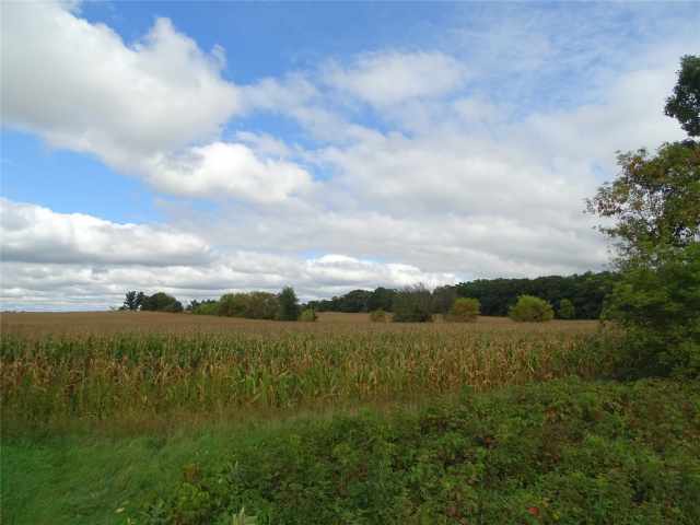 Mondovi Land Real Estate