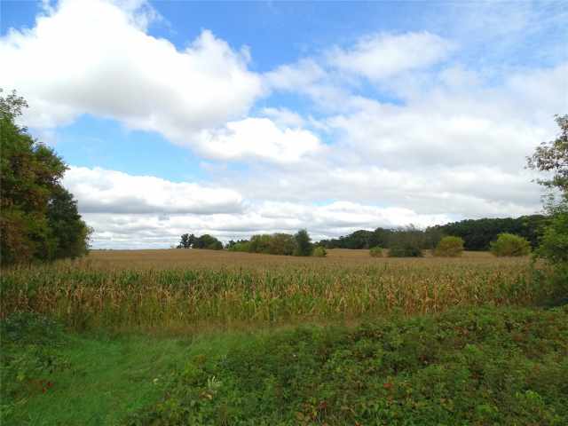 Mondovi Land Real Estate