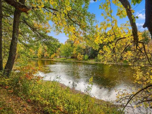 Bruce Residential Real Estate