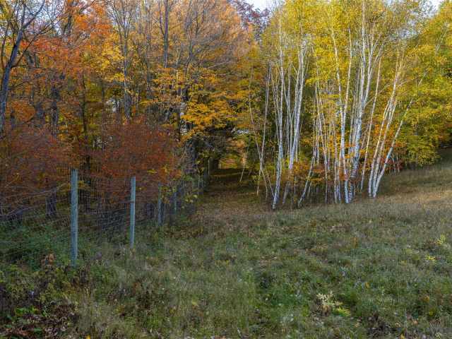 Boyceville Residential Real Estate