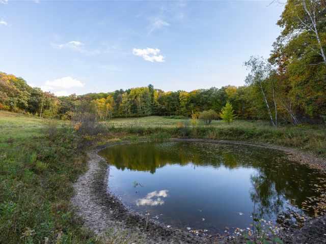 Boyceville Residential Real Estate