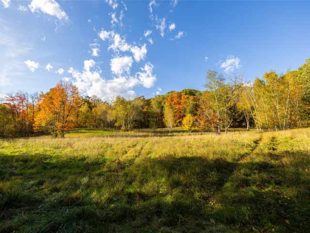 Boyceville Residential Real Estate