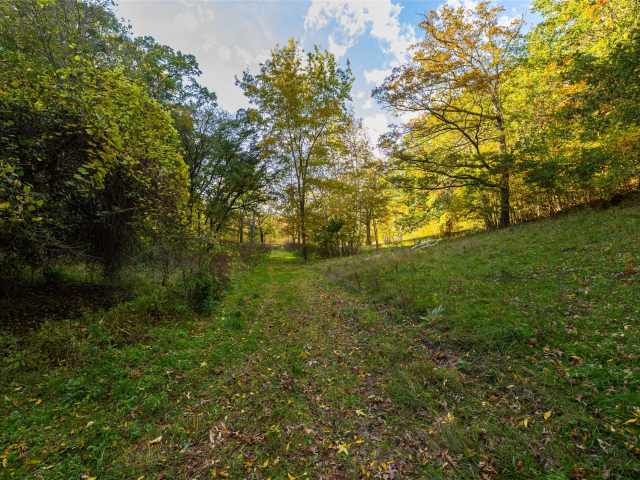 Boyceville Residential Real Estate