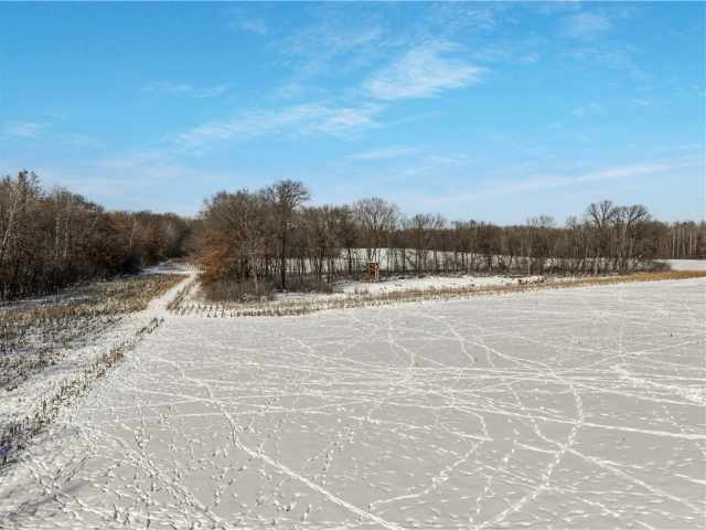 Wheeler Land Real Estate