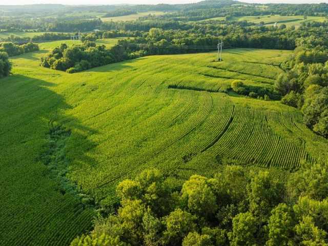 Menomonie Land Real Estate