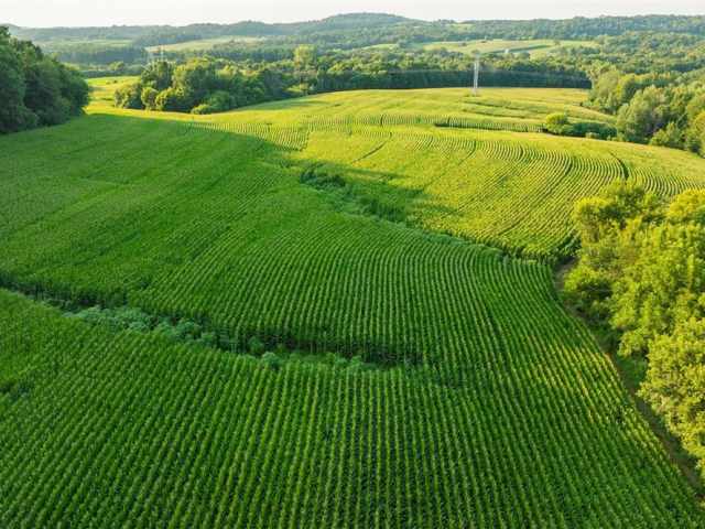 Menomonie Land Real Estate
