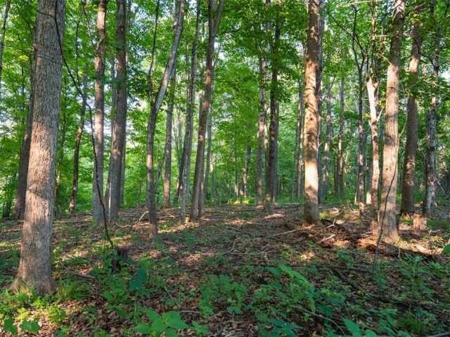 Menomonie Land Real Estate