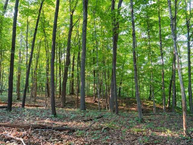 Menomonie Land Real Estate