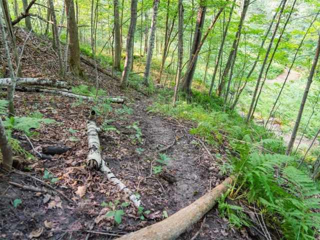 Menomonie Land Real Estate