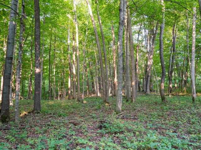 Menomonie Land Real Estate