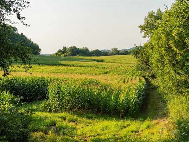 Menomonie Land Real Estate