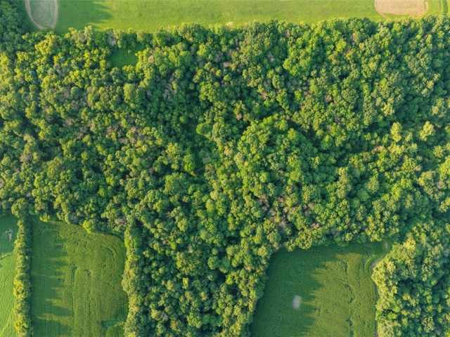 Menomonie Land Real Estate