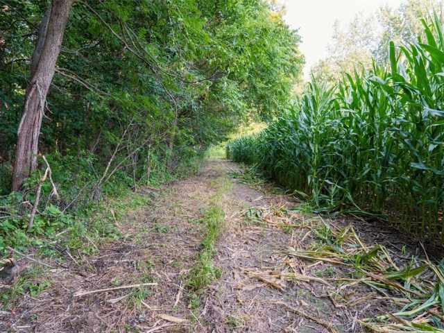 Menomonie Land Real Estate
