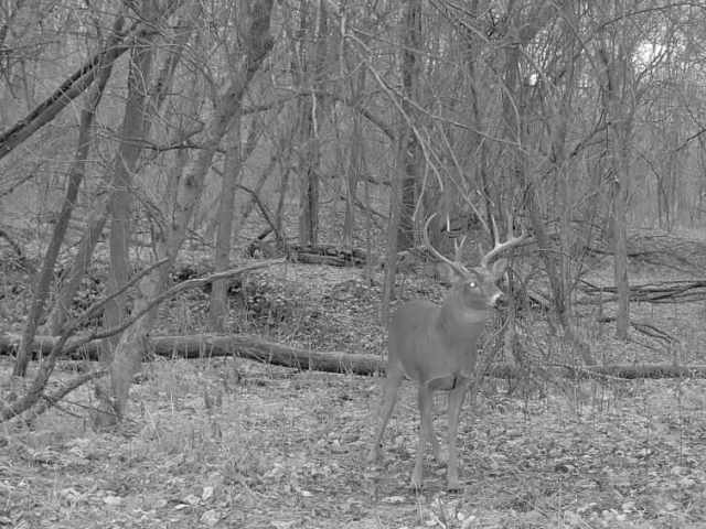 Menomonie Land Real Estate