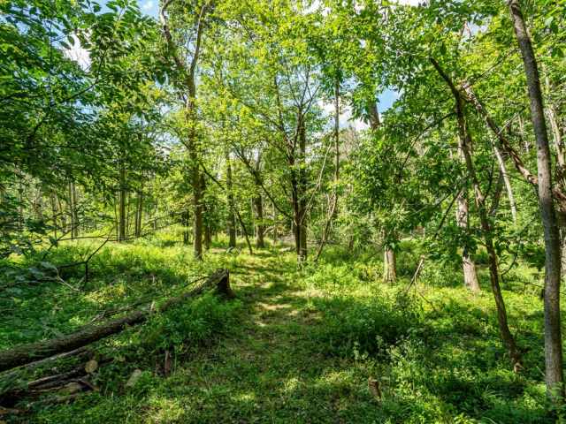 Menomonie Residential Real Estate