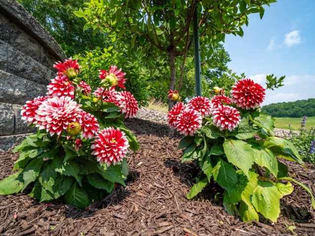 Menomonie Residential Real Estate