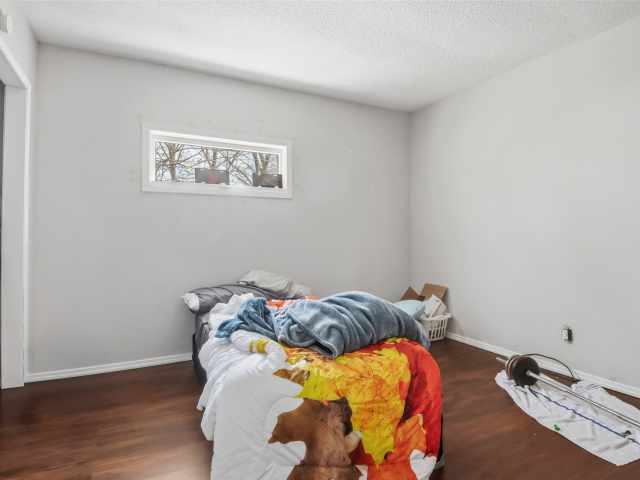 Elk Mound Multi-Family Real Estate