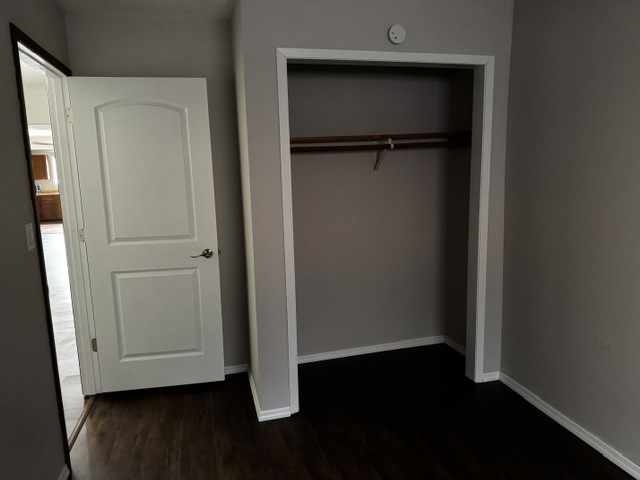 Elk Mound Multi-Family Real Estate