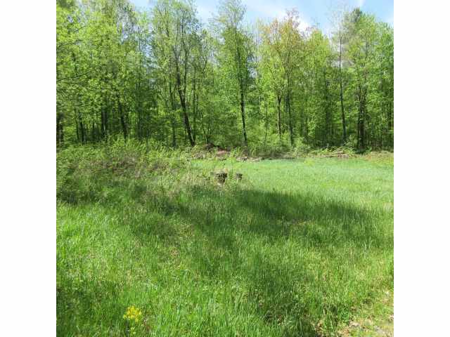 Boyceville Land Real Estate