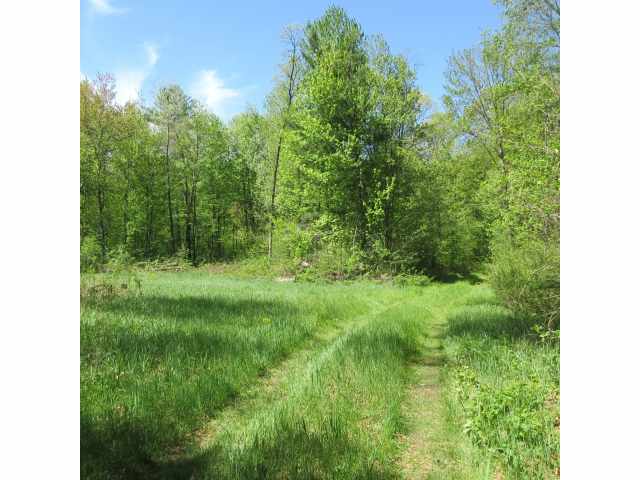 Boyceville Land Real Estate