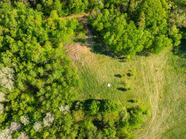 Boyceville Land Real Estate