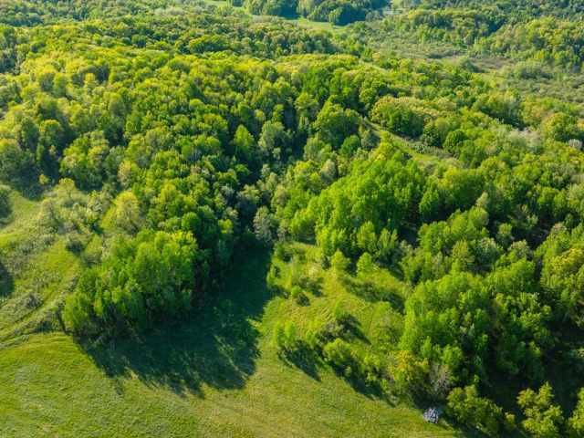 Boyceville Land Real Estate