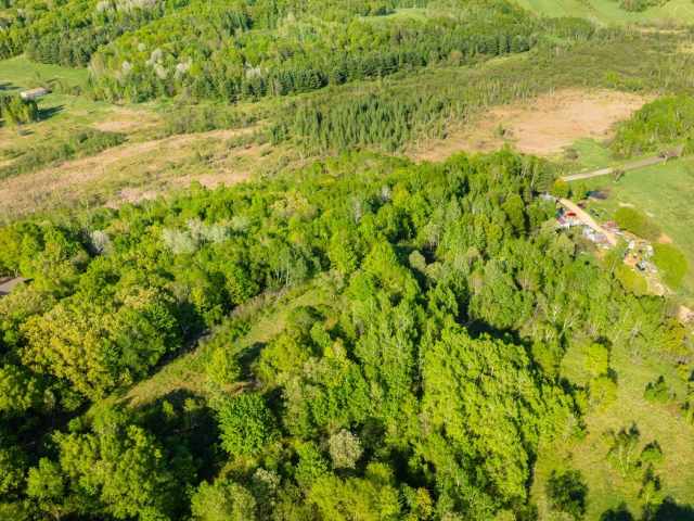 Boyceville Land Real Estate