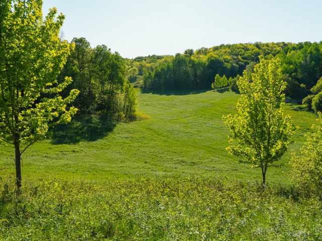 Boyceville Land Real Estate