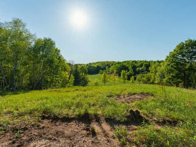 Boyceville Land Real Estate