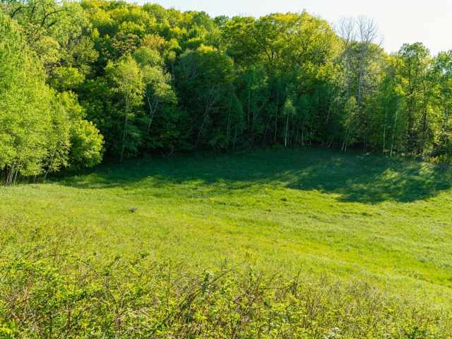 Boyceville Land Real Estate